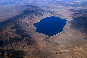 Aerial View of Walker Lake (Nevada).jpg