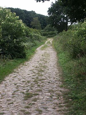 Alte Salzstrasse Breitenfelde