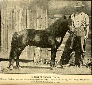 American horses and horse breeding - a complete history of the horse from the remotest period in his history to date. The horseman's encyclopedia and standard authority on horses, embracing breeds, (14781801541)