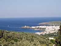 Andros town