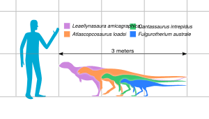 Australian Hypsilophodont Sizes Slate