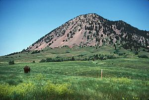 BEAR BUTTE