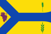 Flag of Bárboles, Spain