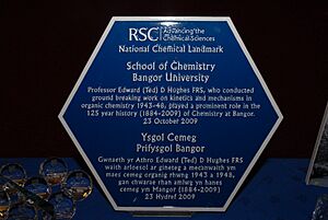 Bangor University Plaque