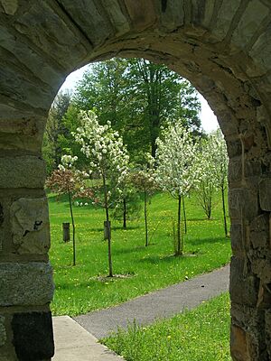 Bathhouse Arch
