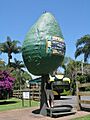 Big Avocado