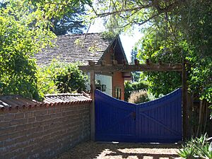 Brancifotre Adobe