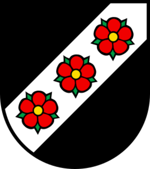 CHE Dintikon COA