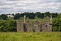 Castles of Munster, Dromaneen, Cork - geograph.org.uk - 1392835