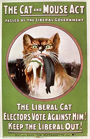 Cat and Mouse Act Poster - 1914