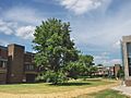 Churchill College Cambridge - Central area and Hepworth