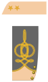 Confederate States of America Lieutenant Colonel-Staff Officer