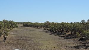 Dry river bed of the Georgina River from the Georgina River Bridge at Camooweal looking north, July 2019