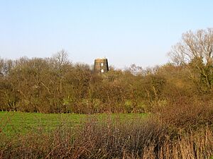 Elsworth Mill, Elsworth, Cambs - geograph.org.uk - 402244