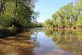 Etowah River in Bartow County Georgia