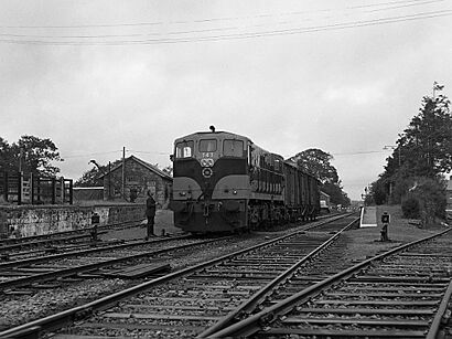 Freight train at Kiltimagh - geograph.org.uk - 3117336.jpg
