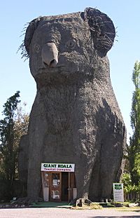 Giant Koala.jpg