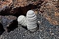 Guatiza - Jardín de Cactus - Lanzarote - J41