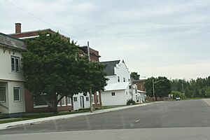 HermansvilleMichiganDowntown