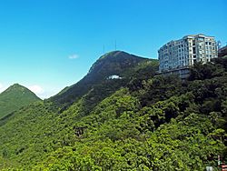 View showing Victoria Peak with High west to the left and The Mount Austin to the right