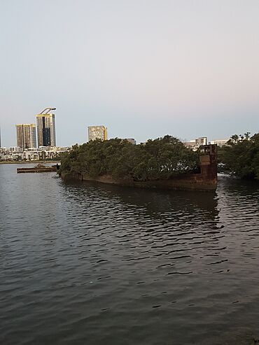 Homebush Bay.jpg