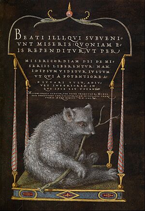 Hungarian - A Sloth - Google Art Project