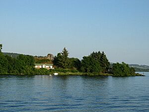 Inchmurrin Island southern end with Castle remains. - geograph.org.uk - 207070
