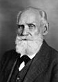 Ivan Pavlov NLM3