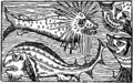 Kraken Olaus Magnus 1555