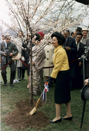 Lady Bird Johnson planting a cherry tree