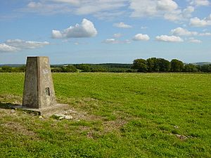 Linch Ball Hill Trig Point - geograph.org.uk - 43966.jpg