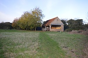 Little Downham Local Nature Reserve 6.jpg