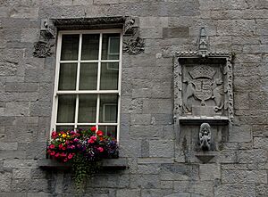 Lynch' Castle Detail