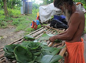 Making of Banana Leaf Plates which Replace Plastic as a Climate Solution
