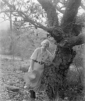 Margaret Preston Berowra 1936.jpg