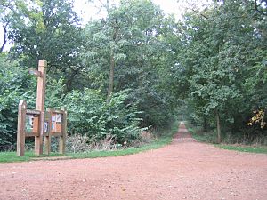 Maulden Wood, Beds - geograph.org.uk - 64552.jpg