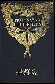 Moths and Butterflies cover, 1901