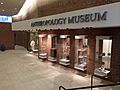 NIU Anthropology Museum in Cole Hall
