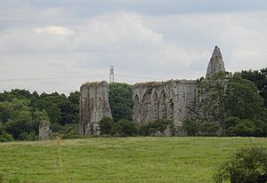 Newark Priory ruins