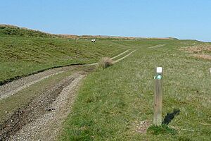 On the Epynt Way - geograph.org.uk - 837654