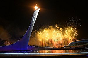 Opening of XXII Winter Olympic Games (2338-13)