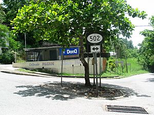 PR-502 viajando hacia el sur en Barrio Quebrada Limon, Ponce, PR (IMG 2727)
