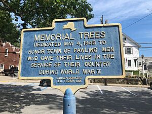 PawlingMemorialTrees
