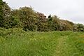 Pickers Ditch Meadow 4