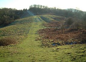 Pillow Mound (Rabbit Warren) Hollybush Hill, Malvern Hills - geograph.org.uk - 3243