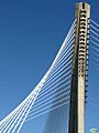 Pontevedra-Puente de los tirantes18 (5091080968)