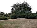 Rayleigh Castle - Top of the motte - geograph.org.uk - 211114
