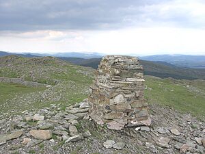 Rhobell Fawr summit