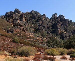 Rock formations at Pinnacles National Park 2