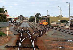 Shepparton station overview